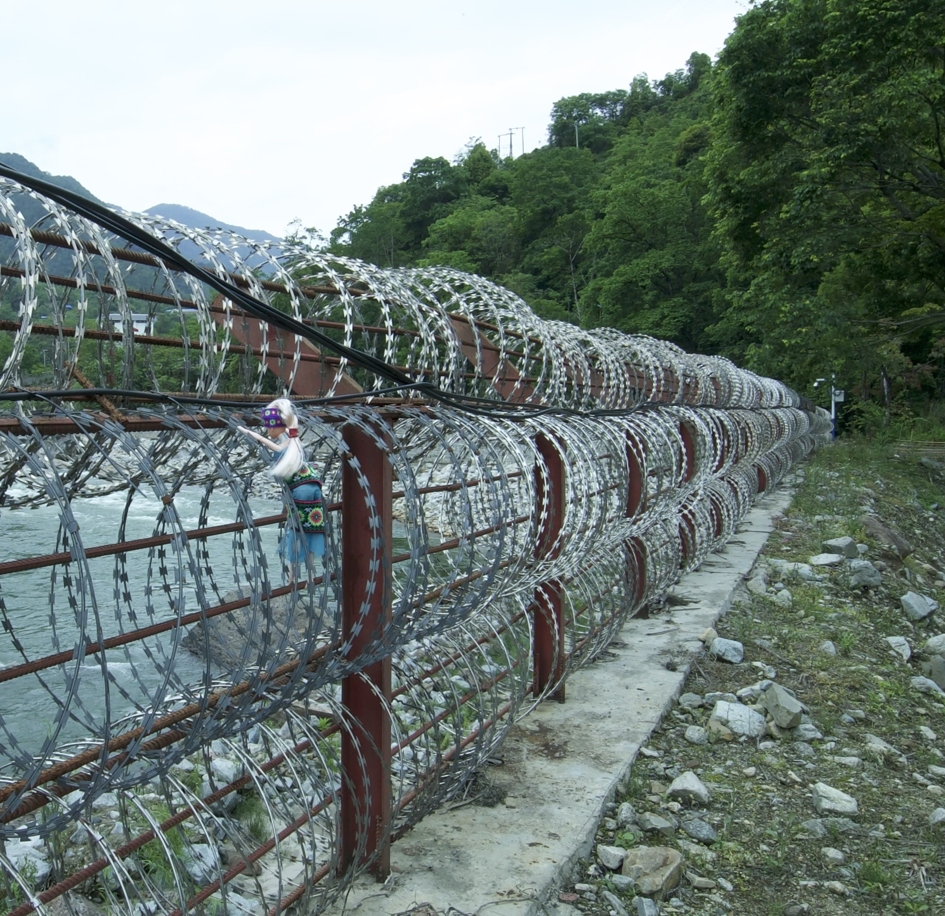 The Witness — Iron Razor Blade Barbed Wire